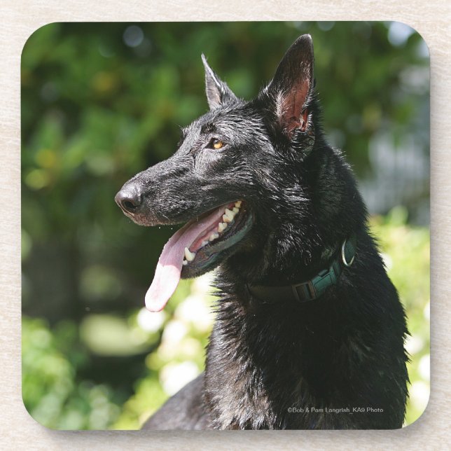 Porta-copo Headshot 2 do german shepherd (Frente)