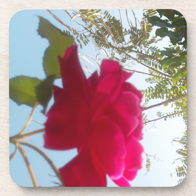 Porta-copo Heavenly Bloom: Um Rosa Contra o Céu (Frente)