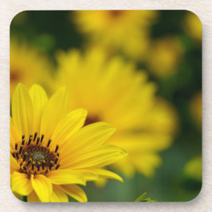 Porta-copo Helênio de margarida amarela