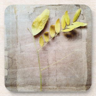 Porta-copo Herbário V