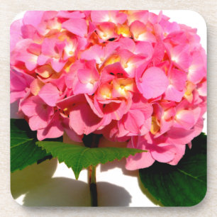 Porta-copo Hidrangea Rosa