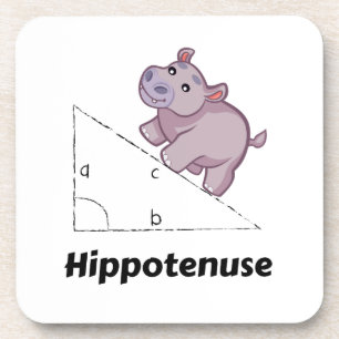 Porta-copo Hippotenuse Engraçado Math