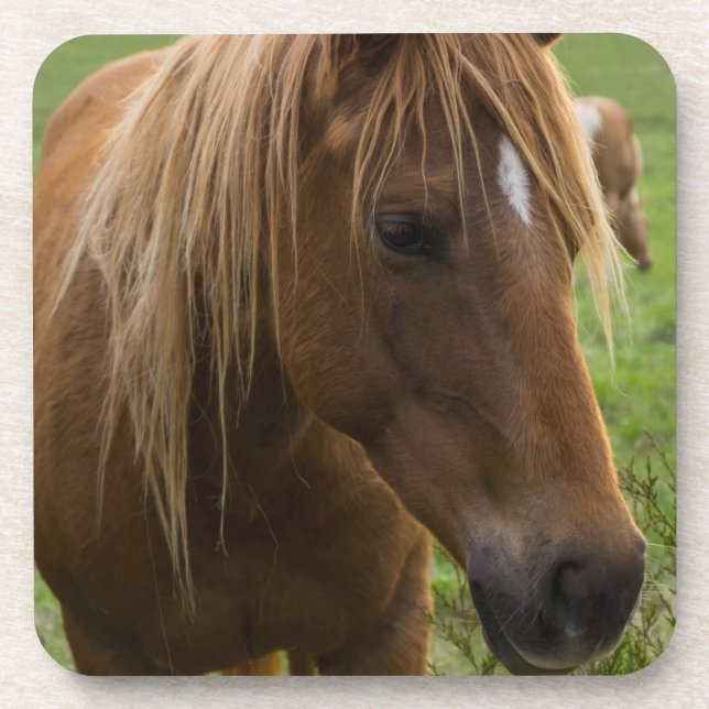 Porta-copo Horse Hello (Frente)