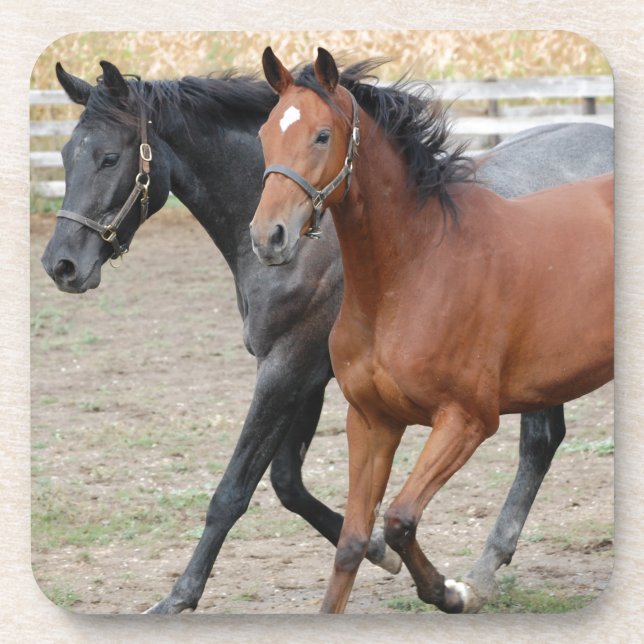 Porta-copo Horse Play (Frente)
