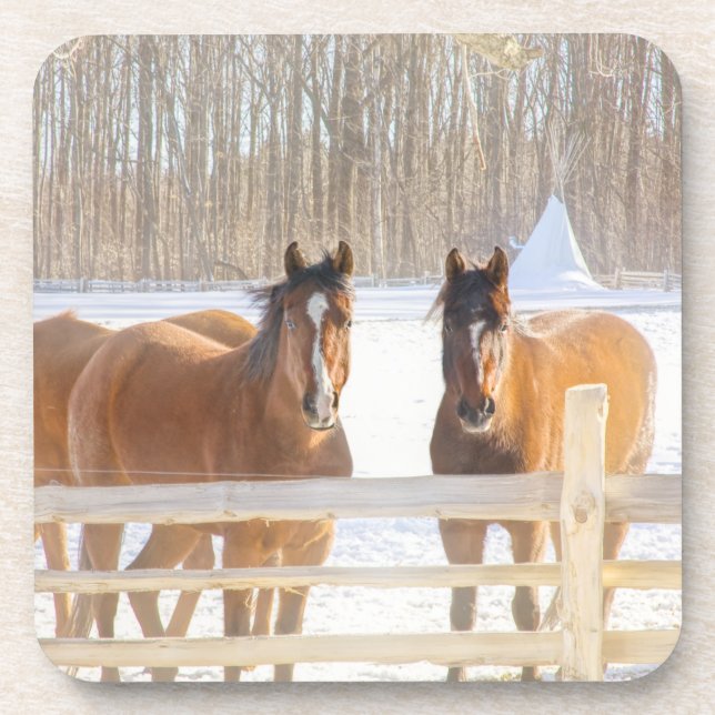 Porta-copo Horses Vermont Winter Hard Plastic Coaster (Frente)