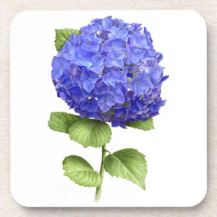 Porta-copo Hortênsia Azul
