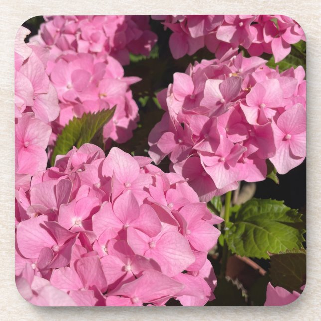 Porta-copo Hortênsia Rosa (Frente)