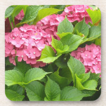 Hortênsias Rosa Intenso