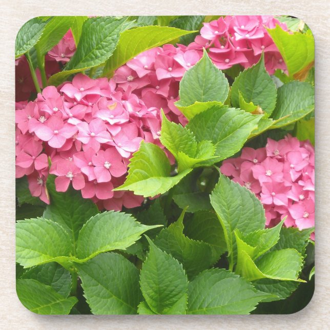 Porta-copo Hortênsias Rosa Intenso (Frente)