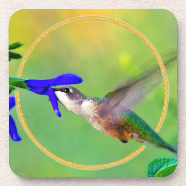 Porta-copo Hummingbird (Frente)