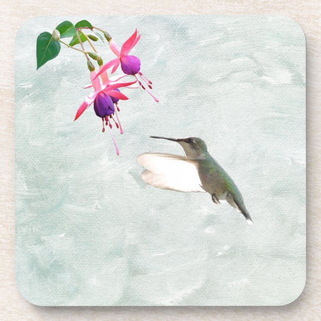 Porta-copo Hummingbird e Fuschia (Frente)