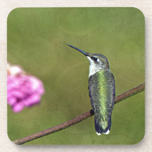 Porta-copo Hummingbird e Zinnia