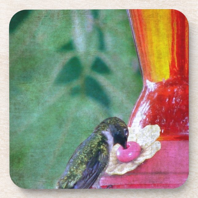 Porta-copo Hummingbird no alimentador (Frente)