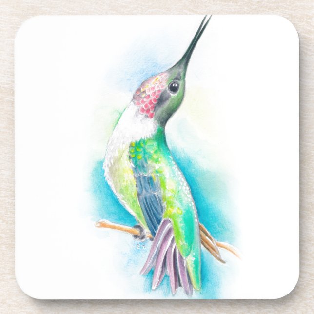 Porta-copo Hummingbird Singing (Frente)