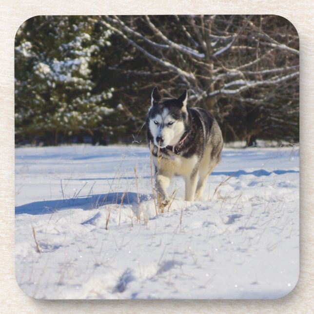 Porta-copo Husky Siberiano Na Neve (Frente)