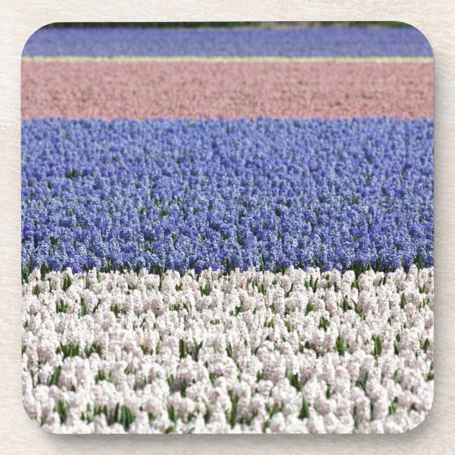 Porta-copo Hyacinth Field (Frente)