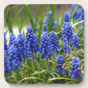 Porta-copo Hyacinth Grape