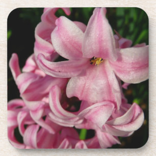 Porta-copo Hyacinth Primavera Floral rosa