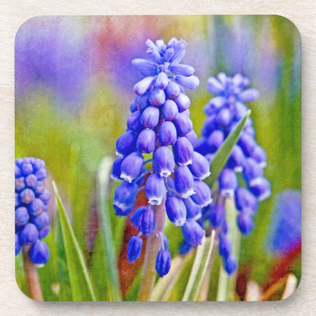 Porta-copo Hyacintos de Uva (Frente)