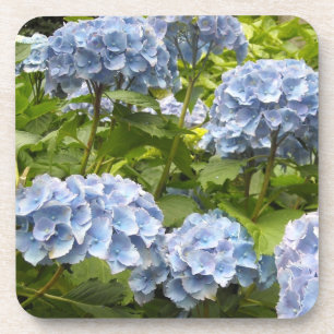 Porta-copo Hydrangeas Azuis