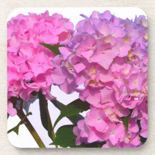 Porta-copo Hydrangeas Rosa e Azul