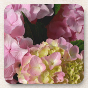 Porta-copo Hydrangeas Rosa e Creme