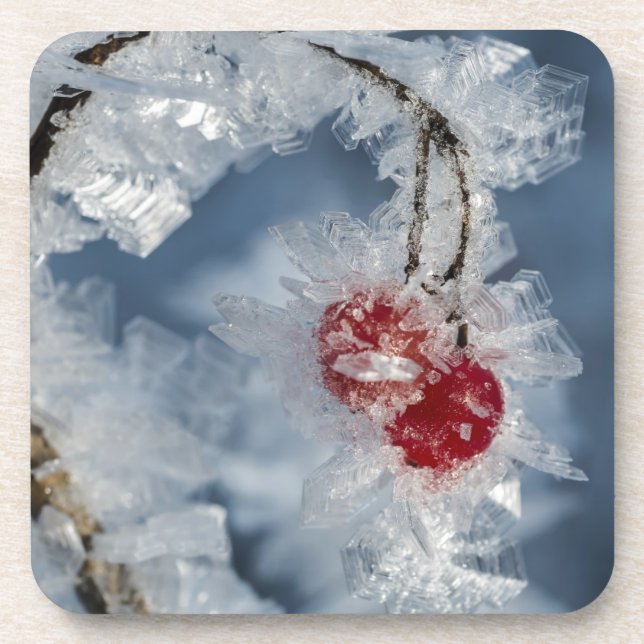 Porta-copo Ice Berries (Frente)