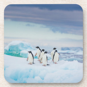 Porta-copo Ice & Snow Adelie Penguins Antarctica