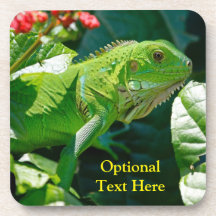 Iguana Lizard Verde Personalizada