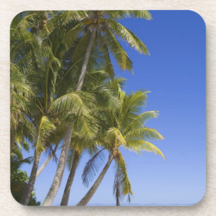 Porta-copo Ilhas Cook com Palm na praia