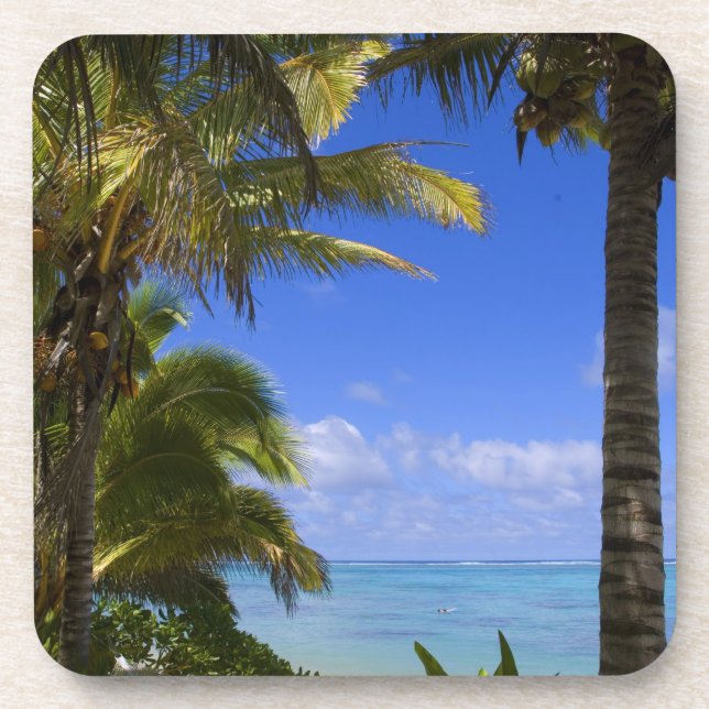 Porta-copo Ilhas Cook com Palm na praia 2 (Frente)