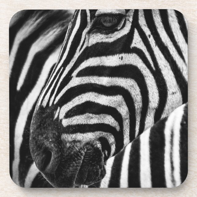Porta-copo Ilusão de Zebra (Frente)