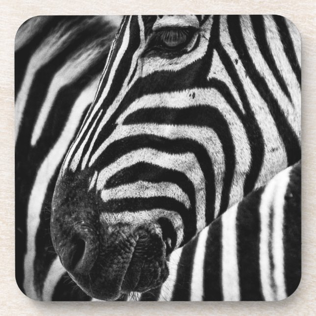 Porta-copo Ilusão de Zebra (Frente)