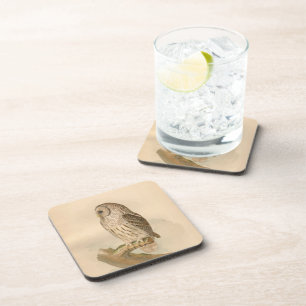 Porta-copo Ilustração da coruja barrada do vintage