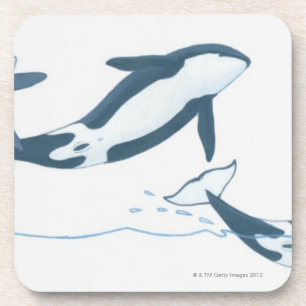 Porta-copo Ilustração de baleias de assassino (orca do
