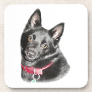 Porta-copo Imagem de Schipperke