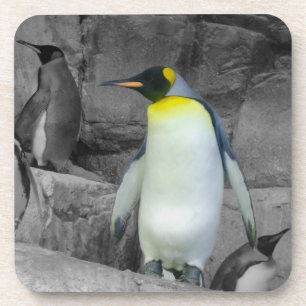 Porta-copo Imperador Penguin