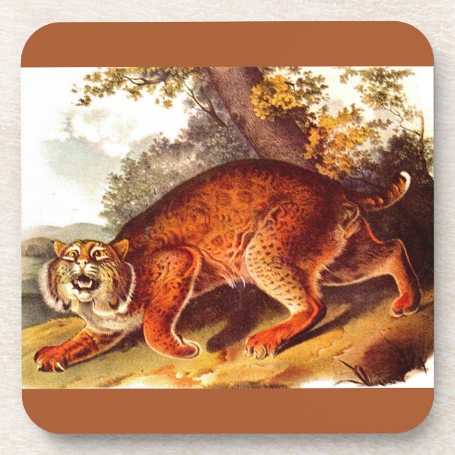 Porta-copo impressão de lince do século XIX (Frente)