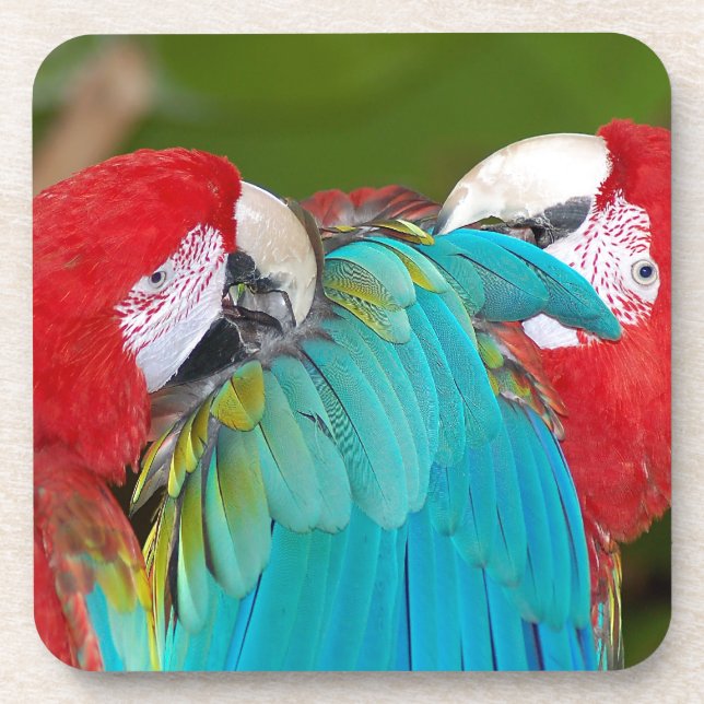 Porta-copo Impressão de papagaio-de-arara-azul (Frente)