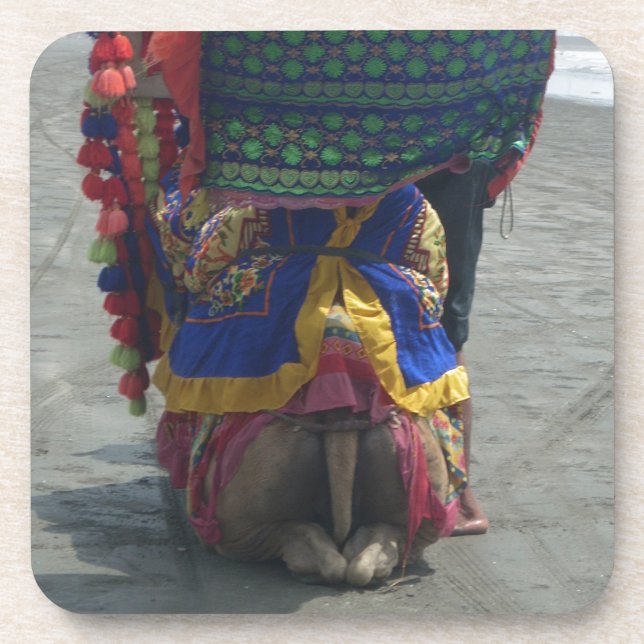 Porta-copo Impressão/Gráfico Whimsical Camel Art (Frente)