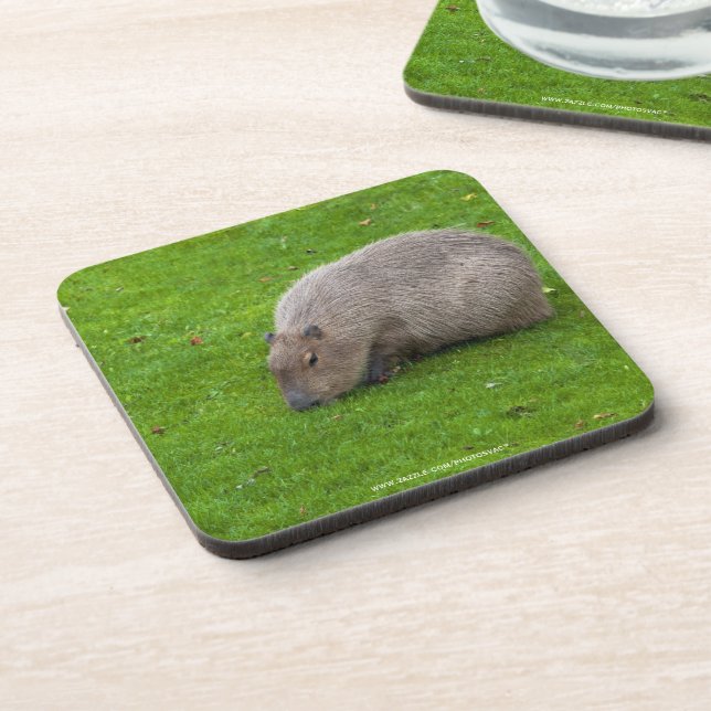 Porta-copo Incrível Animal Capivara (Left Side)