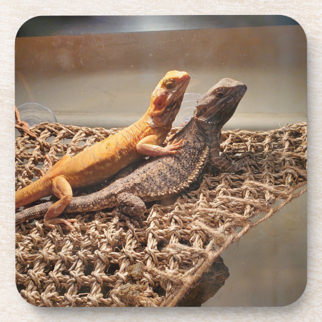 Porta-copo Irmã Love (Frente)