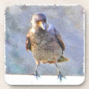 Porta-copo Jackdaw Watercolor