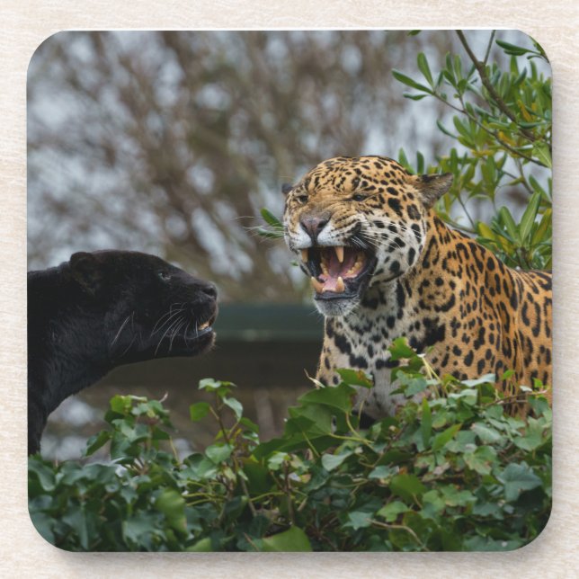 Porta-copo Jaguar Growth (Frente)