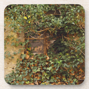 Porta-copo Janela assombrada
