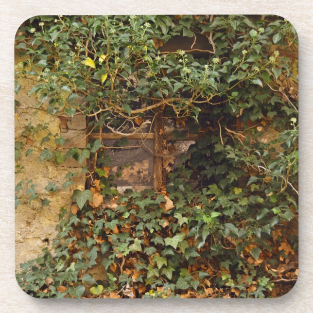 Porta-copo Janela assombrada  (Frente)