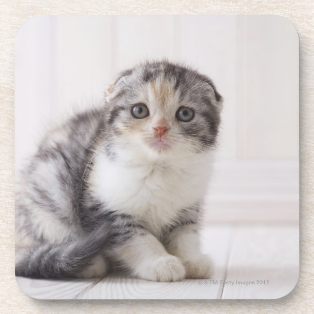 Porta-copo Japão 5 (Frente)