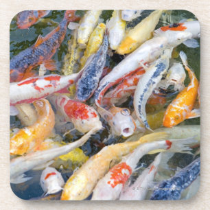 Porta-copo Japão, Tokyo, peixe da natação do fim-acima