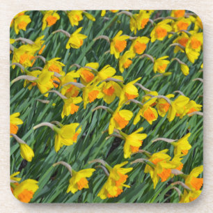 Porta-copo Jardim amarelo brilhante dos daffodils do