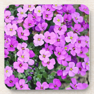 Porta-copo Jardim das Flores Roxas